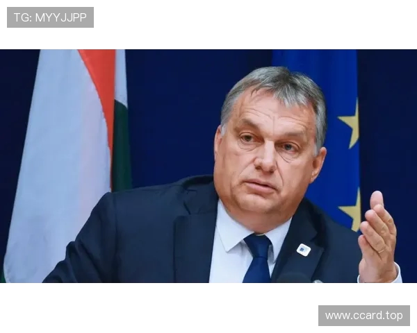 纽卡关注姆贝乌莫埃迪豪欲在欧战资格确认后提出报价