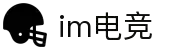 IM(股份有限公司)电竞-电子竞技平台